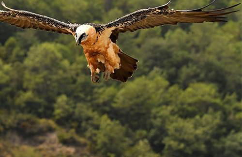 Apartamentos Casa Pochetas - Photo 73