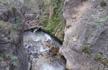 Apartamentos El Madroñal - Foto 65