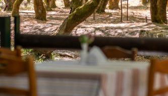 Mountain Hotels "Aroanides" - Foto 3