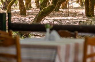 Mountain Hotels "Aroanides" - Foto 3