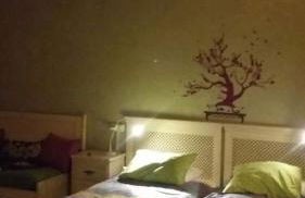 Eco Urbión - Foto 47