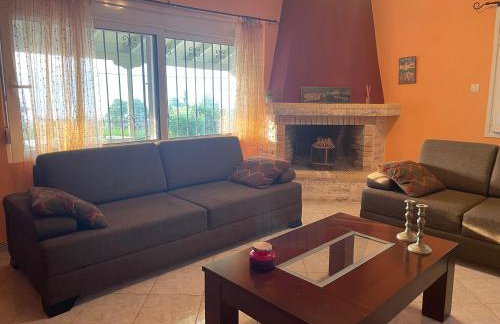 The Doctor's house - Το σπίτι του γιατρού - Photo 6