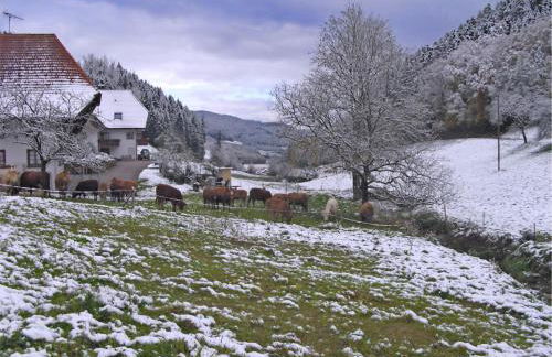 Comfortable Holiday Home in a Beautiful Location - Foto 39