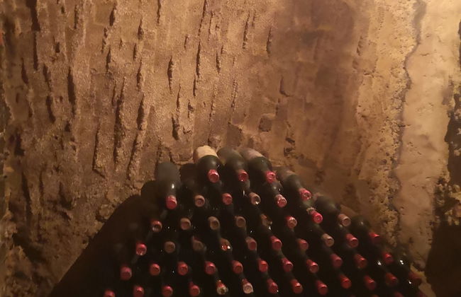 Tenuta S. Agnese - Photo 36