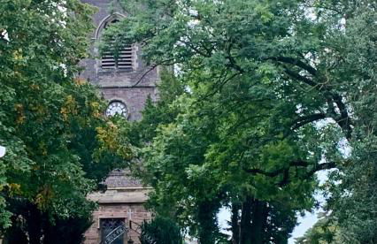 Fantastic Location, Annexe with Hot Tub - Photo 16