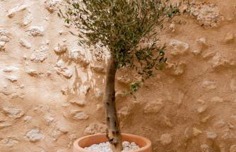 Cas Suis 7 - Foto 28