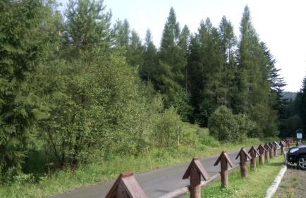 Dom "Honorat", Kamianna 70, 33-336 - Photo 8