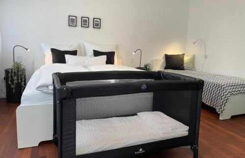 2-Zi. Apartment 42 qm, an der Friedrichsau/Messe - Foto 11