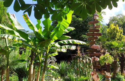 Ferienwohnung Exoten-Paradies im Garten Seggewiß - Tierfreie Nichtraucherwohnung in Raesfeld, Kreis Borken - Foto 1