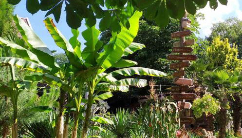 Ferienwohnung Exoten-Paradies im Garten Seggewiß - Tierfreie Nichtraucherwohnung in Raesfeld, Kreis Borken - Foto 1, Garden