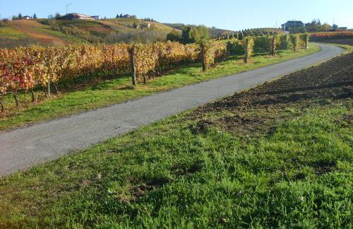 Cascina Longoria - Foto 48