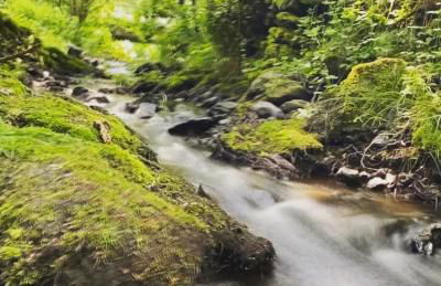 Ferienwohnung Frankenwald - Foto 24