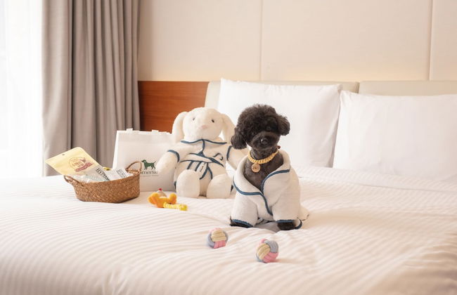 Somerset Jeju Shinhwa World - Foto 18