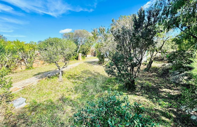 Domo De Chessa - Foto 22