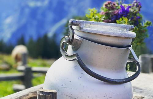 Ferienwohnung Kohl - Dachlmoos - Foto 21