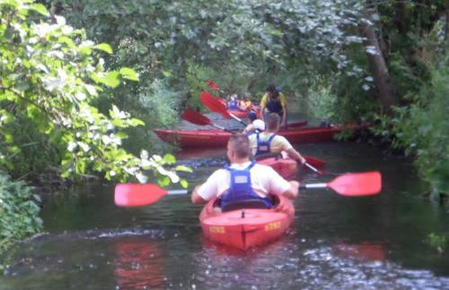 Dom drewniany na Kaszubach, rzeka, las, pola, niedaleko jeziora - Foto 26