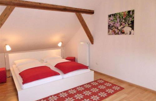 Ferienwohnungen Schönbachtal - Foto 22