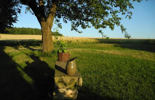 Alte Scheune Rietzschelhof mit Pool - Foto 26