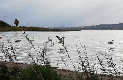 Appartamento Cagliari, OliveOyl Apt&Terrace - Foto 41