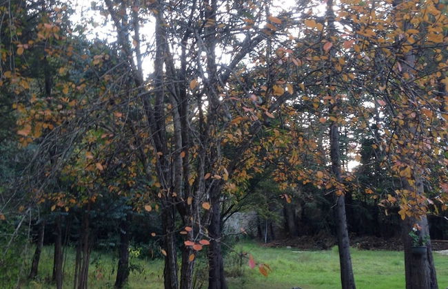 Apartment In San Cristobal De Las Casas, Wifi - Foto 12