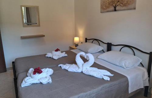 Aglaia House - Photo 13