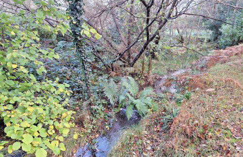 Ryan's Cottage - Photo 71