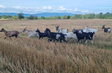 BAJKA-Domek na wsi - Foto 40