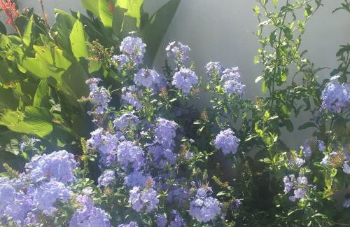 Escapade a Chaucre - St Georges - Maison plain pied - 3 chambres - 7 couchages - Foto 26