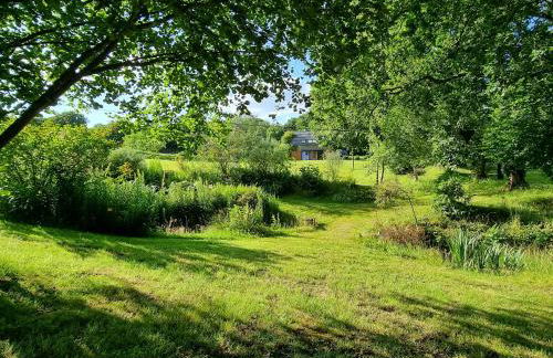 Le terrier aux merveilles - Foto 24