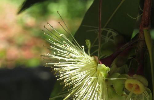 B&B Casita GioJa - Foto 74