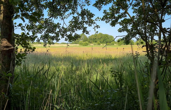 Forest House in Friesland With Sauna - Foto 40