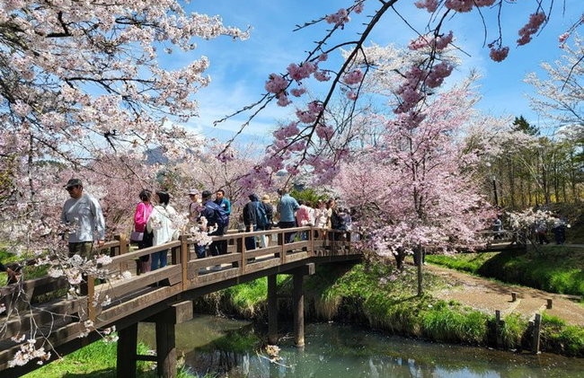 Tour privato in auto al Monte Fuji da Tokyo - Foto 7