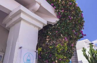 Villa Guajara Piscina Climatiz Jacuzzi Villa 714 - Photo 47