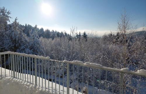 Ferienwohnung Dreiburgenblick - Foto 24