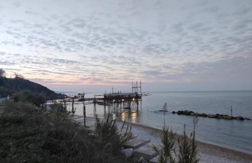 L'uliveto sui Trabocchi - Foto 33