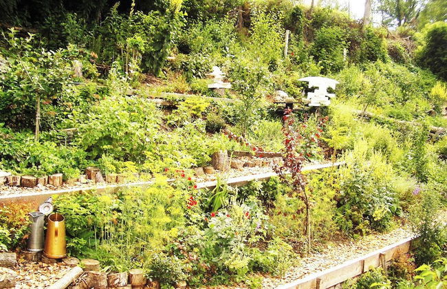 Roomantic Apartments - Photo 19