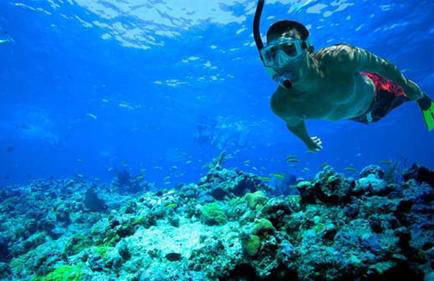 Villa Cascata, 3 bedroom, Pool, close to Olhos de Agua - Foto 60