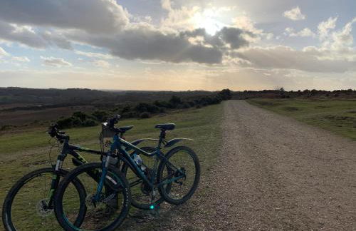 Forest Palms Studio The New Forest National Park - Foto 29