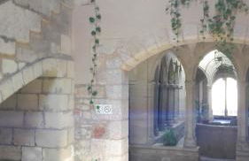 La Polaina - Foto 39