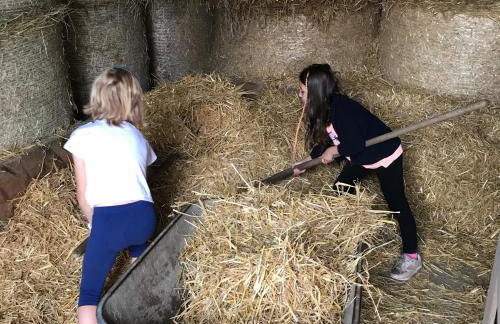 Ferienhaus Spielburg - Foto 68