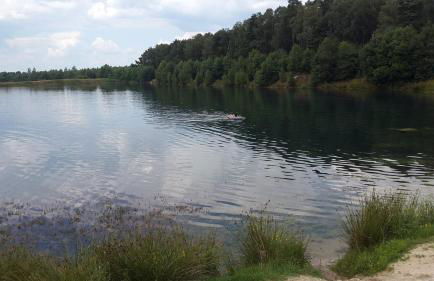 Ferienwohnung Ram 1 - Photo 65