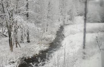 Bergwiesnblick Apartments - Foto 43