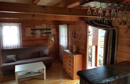 Mazur House Bogaczewo - Foto 28