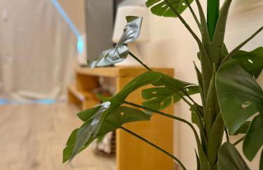 Chalés Luna In Rio escapadinha no Gerês, A-frame aconchegante vista rio e montanha aquecimento, total privacidade - Photo 35