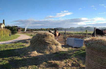 Gîte Pierre Blanche - Foto 48