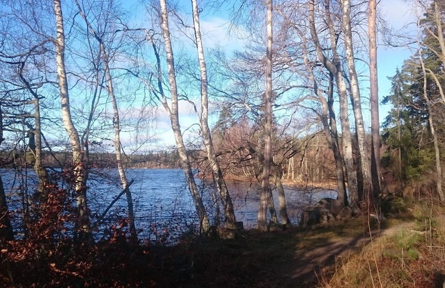 4 Person Holiday Home in Holmsjo - Foto 26