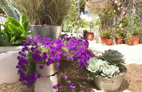 Casa da Aldeia - Foto 37