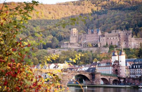 Boardinghouse Luise 5 - Foto 27