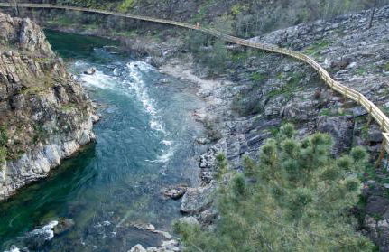 Casa dos Avós - Foto 46