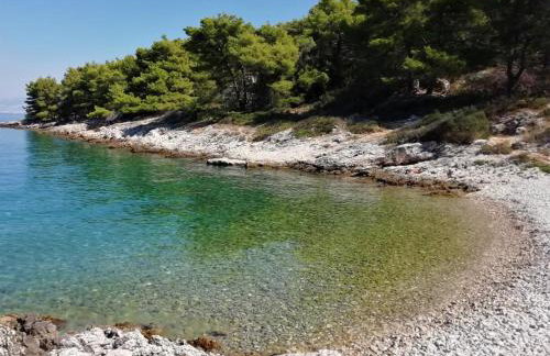 Vila Vita - Photo 75